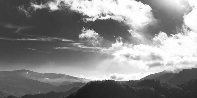 Cryptocurrency Basics